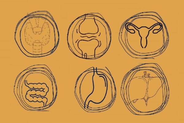 باقة التدخل العلاجي للأمراض المزمنة